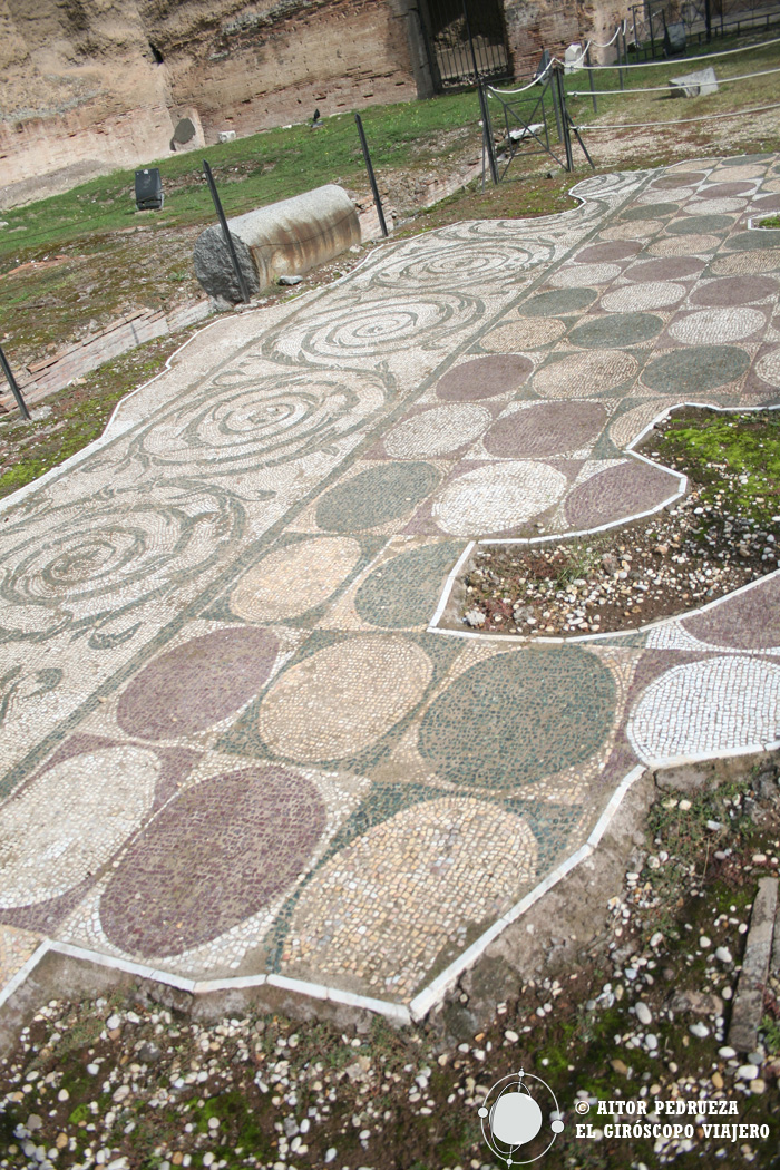 Mosaicos decorativos del suelo de las termas