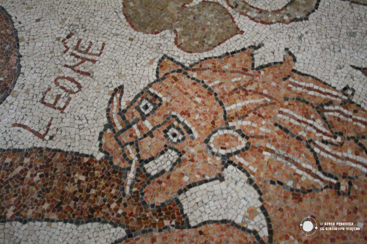 Mosaico en Otranto, Puglia